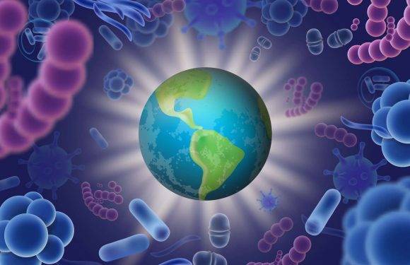 Ebola, pollution, anti-vaccins : l’OMS dévoile son top 10 des menaces pour la santé en 2019