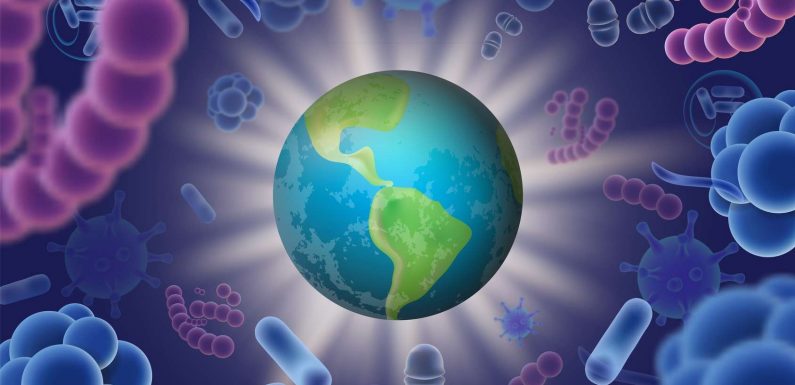 Ebola, pollution, anti-vaccins : l’OMS dévoile son top 10 des menaces pour la santé en 2019