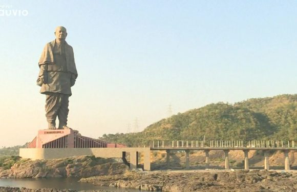 Inde: des centaines de crocodiles sont évacués autour de la plus haute statue au monde