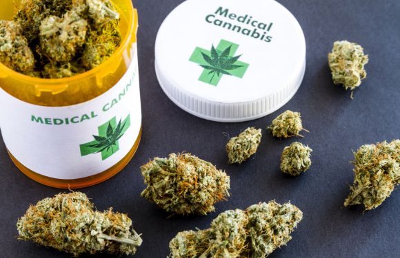 Cannabis thérapeutique : la moitié des consommateurs le préfère aux médicaments