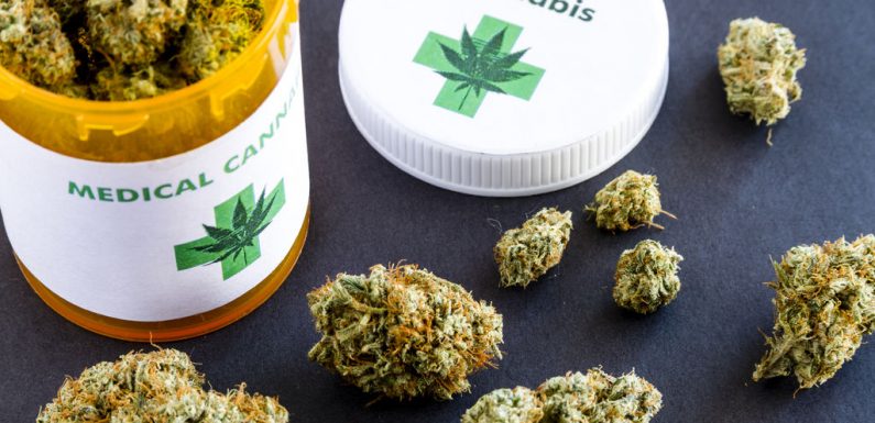 Cannabis thérapeutique : la moitié des consommateurs le préfère aux médicaments