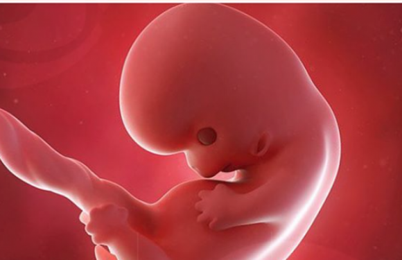 42 millions d’enfants avortés l’an passé