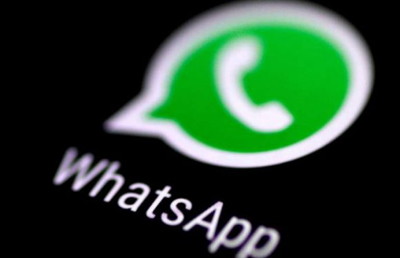 WhatsApp limite le transfert de messages à cinq destinataires pour contrer les infox