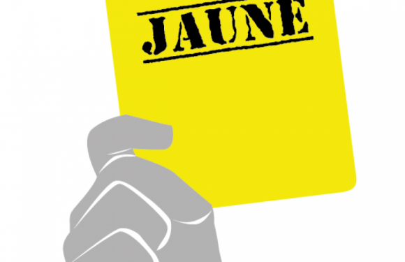 Une liste Gilets jaunes aux européennes, pour renforcer Emmanuel Macron