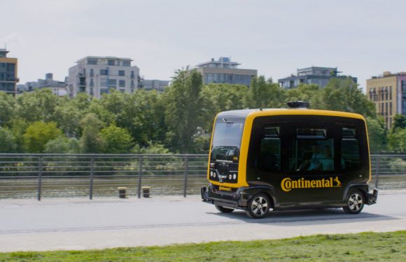 À quoi pourraient bien servir les chiens robots ? À livrer des colis