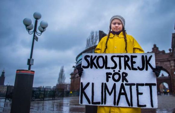 En Suède, la jeune militante écologiste Greta Thunberg victime des trolls