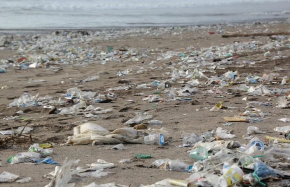 [Danger plastique] Les 10 chiffres chocs de ce fléau planétaire