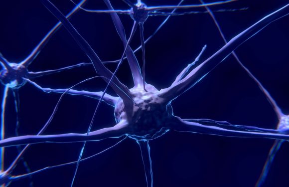 Cerveau : des chercheurs ont trouvé les cellules qui rendent la douleur désagréable