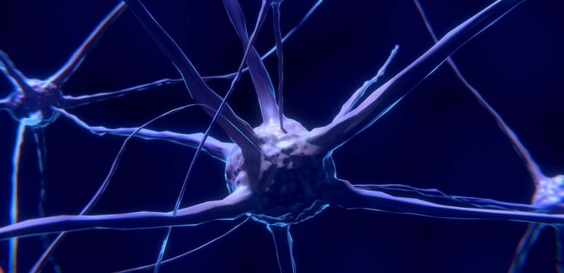 Cerveau : des chercheurs ont trouvé les cellules qui rendent la douleur désagréable