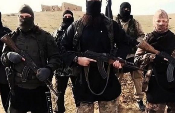 Déchéance de nationalité et expulsion des terroristes