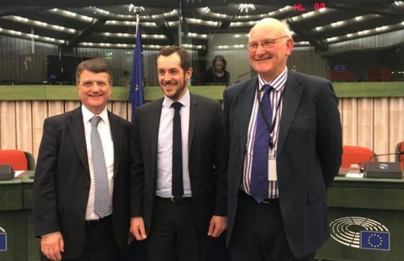 3 députés européens britanniques rallient le groupe du Rassemblement National