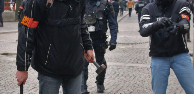 Ils sont complètement marteaux
