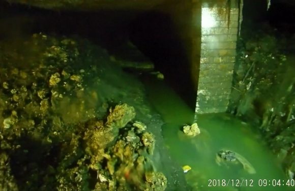 Un nouveau « fatberg » découvert au sud du Royaume-Uni