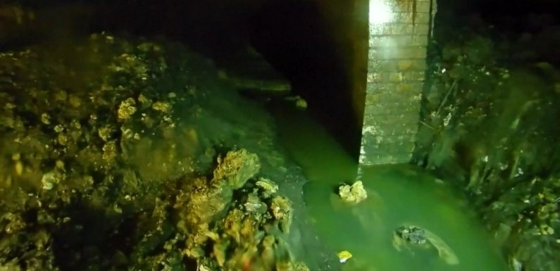 Un nouveau « fatberg » découvert au sud du Royaume-Uni