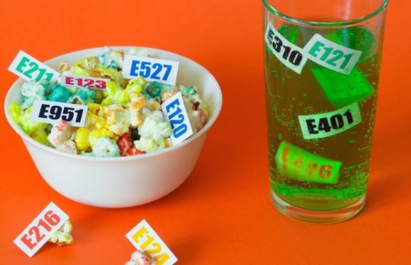 Certains additifs alimentaires pourraient causer de l’anxiété et un changement de comportement