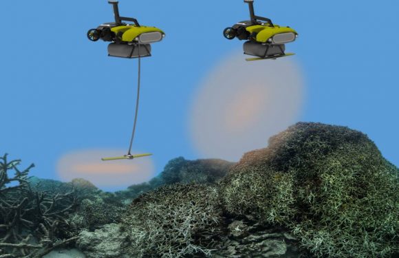 En Australie, un robot pour sauver la Grande Barrière de corail ?