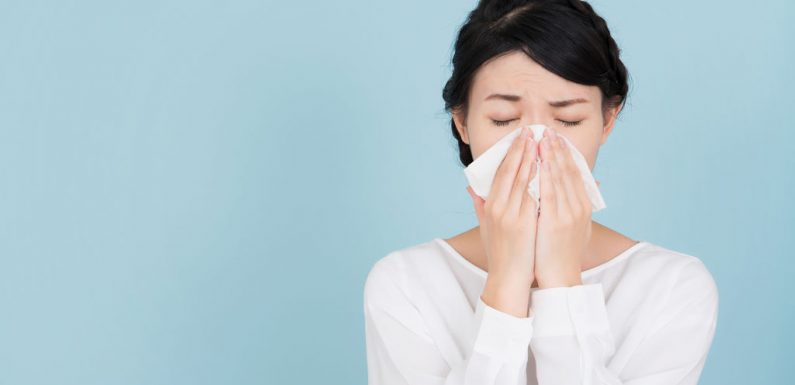 Epidémie de grippe : les bons gestes contre le virus