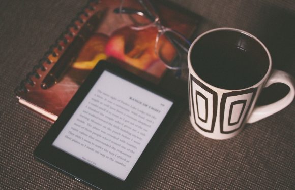 Ebook Gratuit : télécharger 950000 ebooks gratuits ePub et PDF livres et romans gratuits