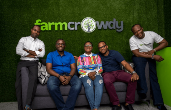 Farmcrowdy: la start-up nigériane bientôt au Mali et au Ghana