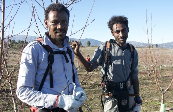 À Fundão, au Portugal, un nouveau départ pour des “rescapés de l’Aquarius”