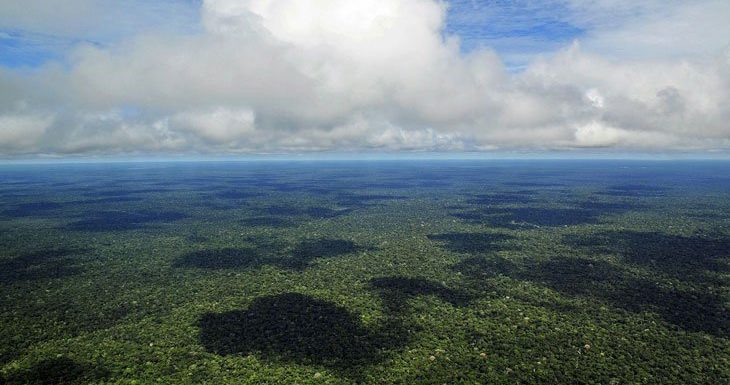 Jugée « non productive », la forêt amazonienne va être dévastée par le Brésil pour être urbanisée
