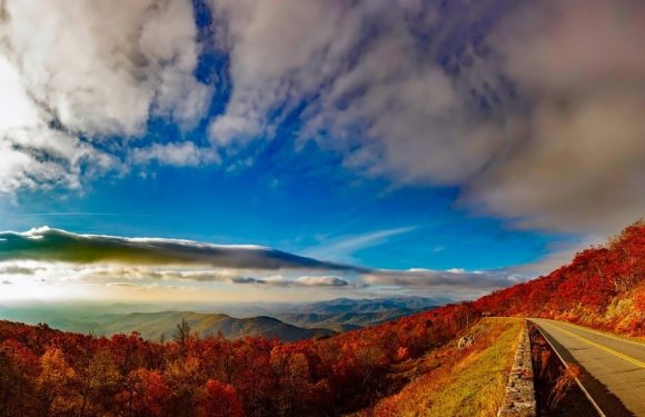 Un bel exemple : le créateur de Fortnite achète des milliers d’hectares de forêts pour les préserver