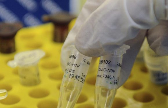 Vrai espoir ou pas ? Une start-up irlandaise annonce avoir franchi la première étape vers un vaccin anti-Alzheimer