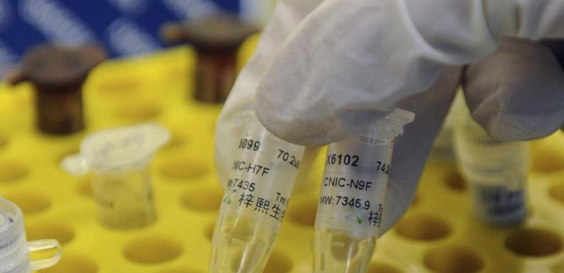 Vrai espoir ou pas ? Une start-up irlandaise annonce avoir franchi la première étape vers un vaccin anti-Alzheimer