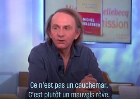 Michel Houellebecq, passionnément triste contre la société de consommation