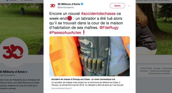Un labrador tué par des chasseurs, 30 Millions d’Amis interpelle Rugy