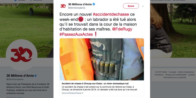 Un labrador tué par des chasseurs, 30 Millions d’Amis interpelle Rugy