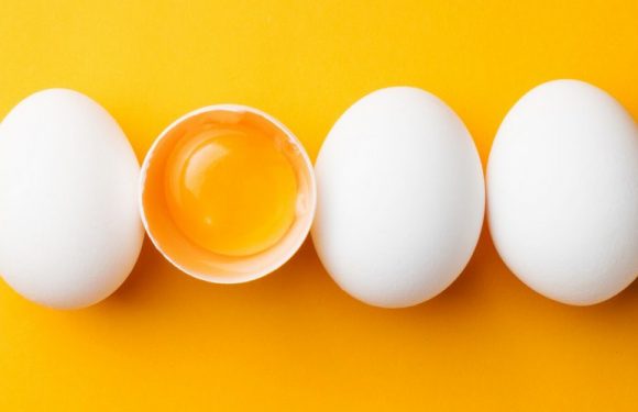 La choline pour combattre Alzheimer à travers les générations