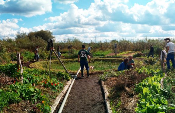 Les petites fermes sont le futur de notre alimentation, protégeons-les !