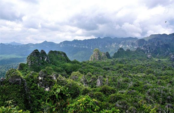 World’s first figurative art is of an unknown animal in Borneo