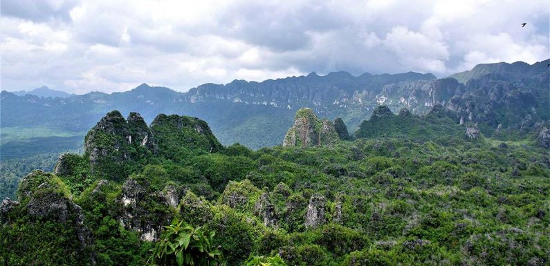 World’s first figurative art is of an unknown animal in Borneo