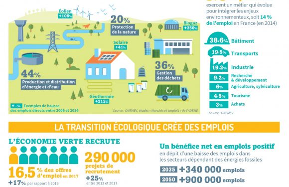 [Infographie] Combien d’#emplois grâce à la #transition #écologique ?