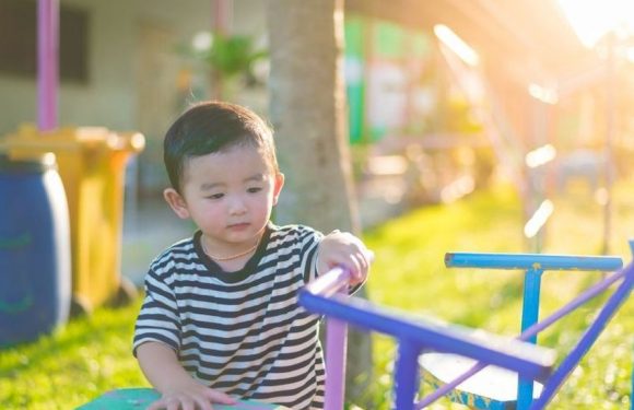 Un processus pendant la grossesse impacte le cerveau des enfants autistes