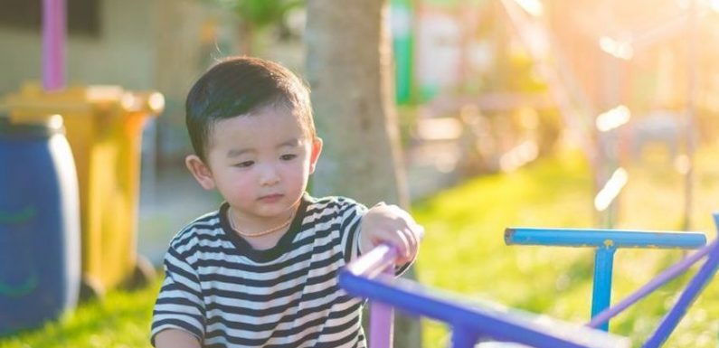 Un processus pendant la grossesse impacte le cerveau des enfants autistes