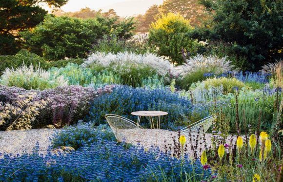 Japon, Australie, Angleterre… Les plus beaux jardins du monde