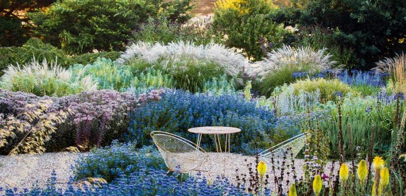 Japon, Australie, Angleterre… Les plus beaux jardins du monde