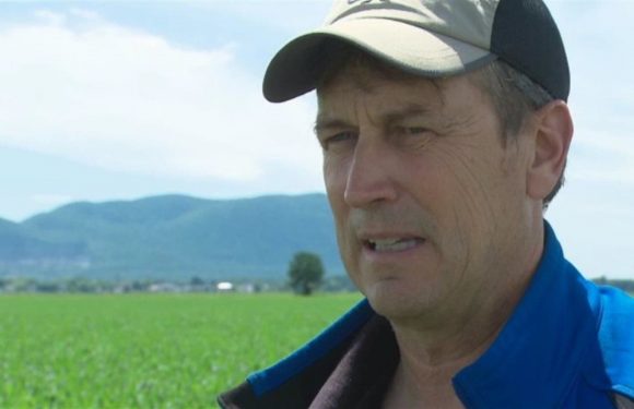 Pesticides : un lanceur d&rsquo;alerte congédié par le gouvernement du Québec