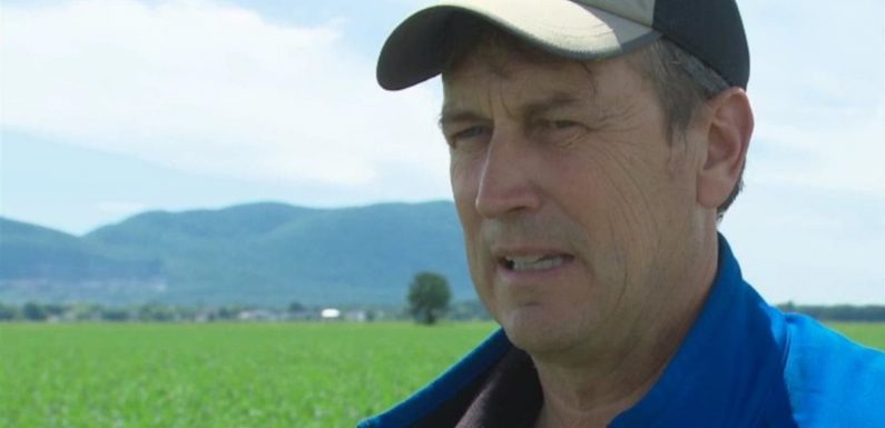 Pesticides : un lanceur d’alerte congédié par le gouvernement du Québec