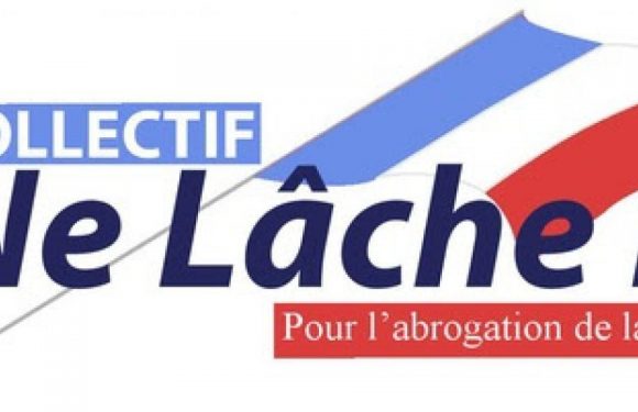 Forte baisse de 17% des parodies de mariages entre personnes de même sexe selon l’INSEE