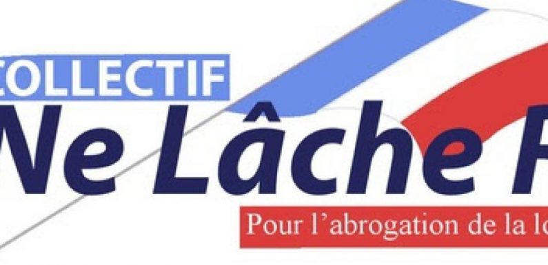19 janvier : Pour l’abrogation de la loi Taubira et la famille, manifestation devant le CESE à Paris
