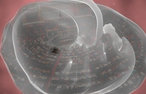 Bioéthique : vers une inscription définitive dans la loi des pratiques eugénistes