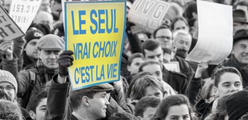 Les Gilets Jaunes catholiques appellent à Marcher pour la Vie