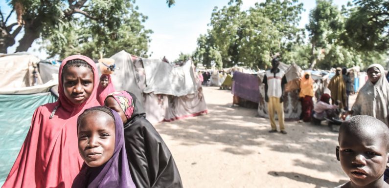 Nigeria : “Les traumatismes liés à l’insurrection de Boko Haram sont devenus normaux ici”