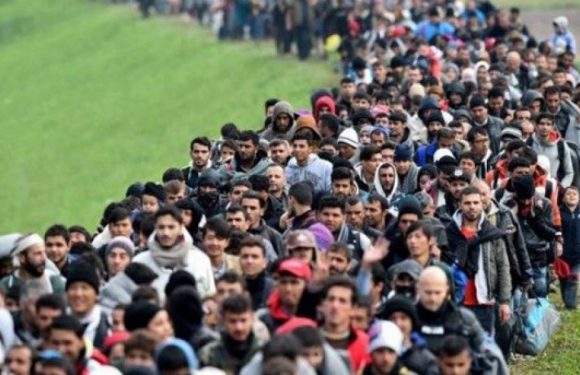 Immigration : tenir compte de la complexité et faire preuve de prudence