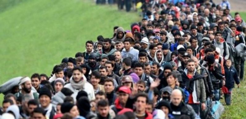 Plus de 300 000 nouveaux immigrés en France en 2018