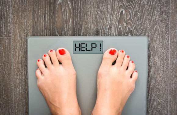 Cet implant pourrait mettre fin à l’obésité